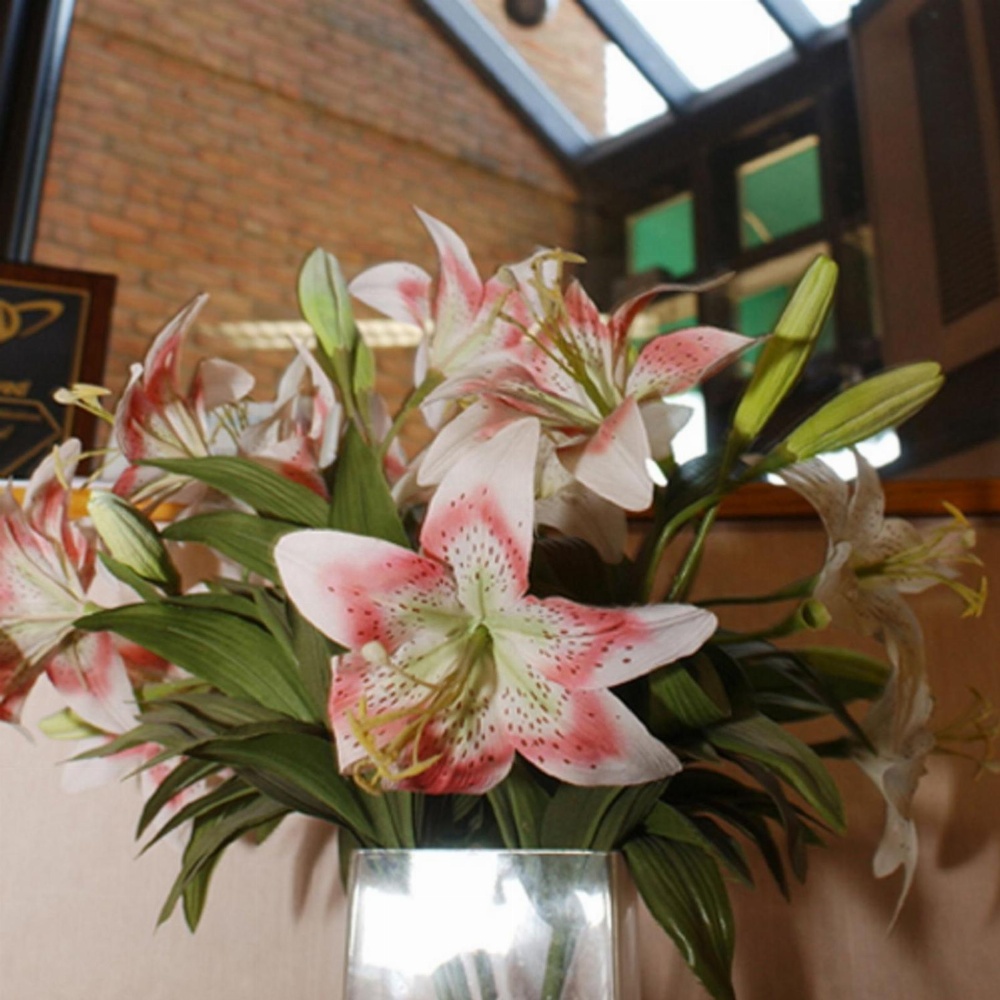 Meadow Court Inn - Ithaca Main image