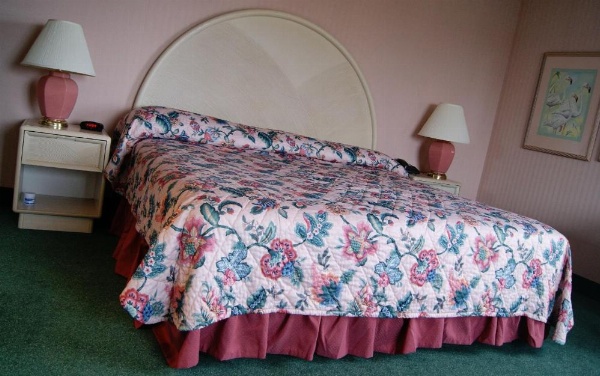 Meadow Court Inn - Ithaca image 16