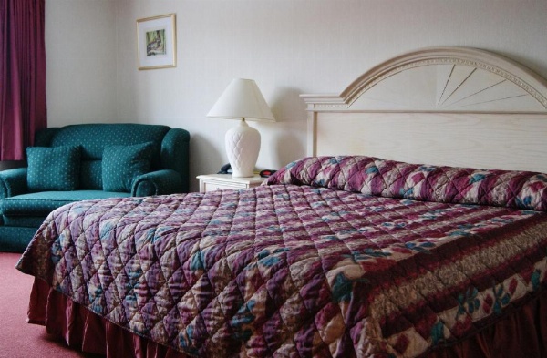 Meadow Court Inn - Ithaca image 17