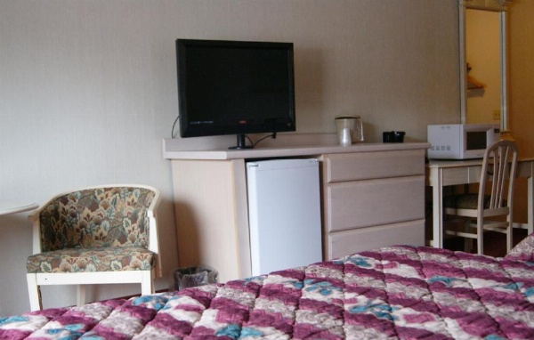 Meadow Court Inn - Ithaca image 18