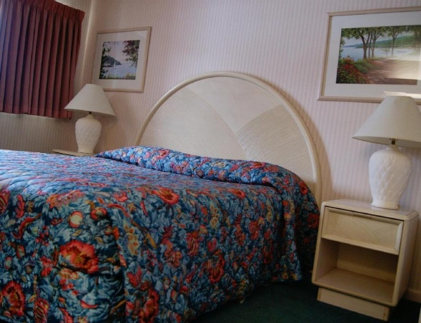 Meadow Court Inn - Ithaca image 21