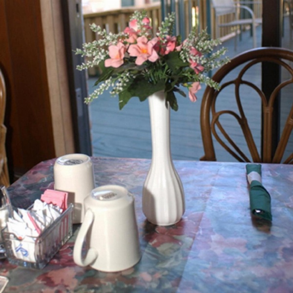 Meadow Court Inn - Ithaca image 9